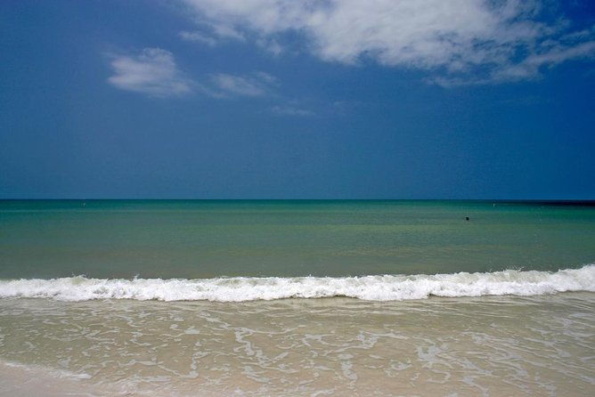 half-day-private-guided-nature-of-floridas-gulf-coast-eco-tour