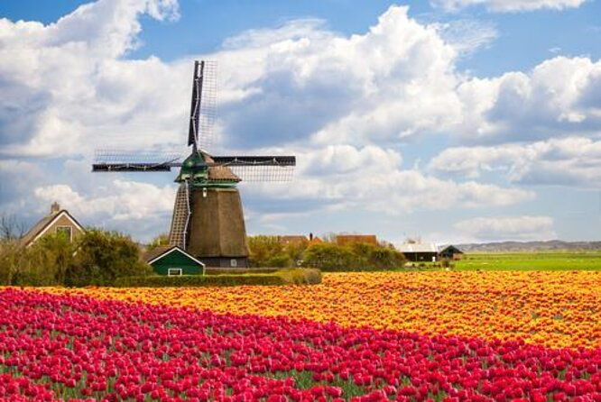half-day-private-guided-sightseeing-tour-of-zaanse-schans