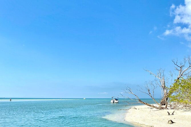 half-day-private-tiki-boat-beach-tour-from-fort-myers