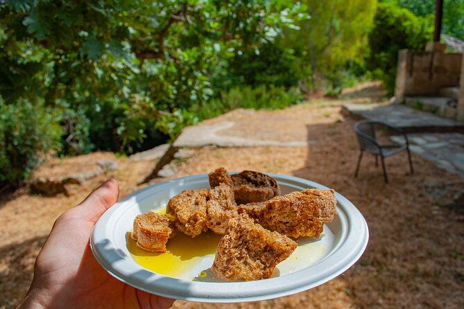 half-day-private-tour-picnic-in-real-cretan-countryside-retreat