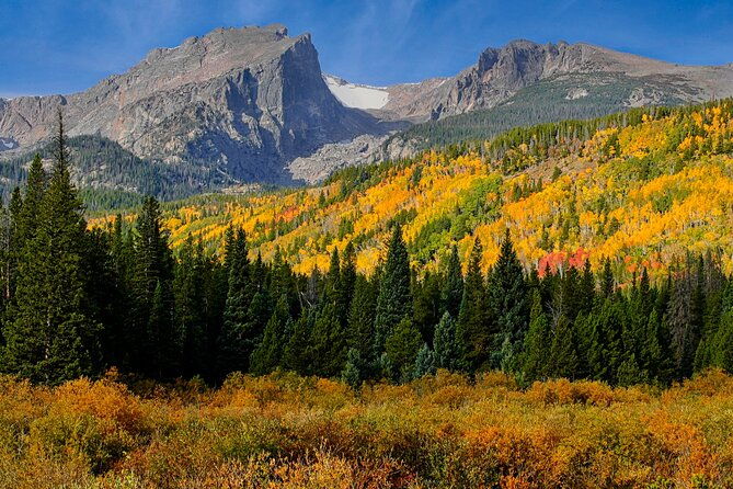 half-day-rocky-mountain-national-park-mountains-to-sky-tour-rmnphotographer