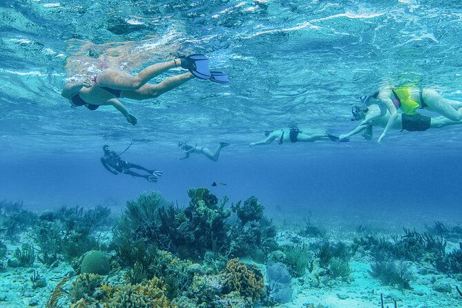 half-day-snorkel-to-laughing-bird-caye