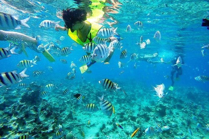 half-day-sosua-sunset-cruise-with-snorkeling