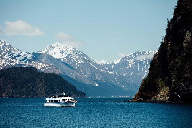 half-day-spring-resurrection-bay-wildlife-tour-from-seward