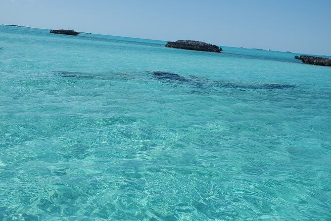 half-day-swiming-pigs-and-sharks-tour-nassau-to-exuma-by-plane
