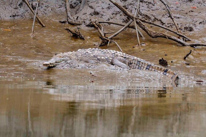 half-day-tour-churute-mangroves-and-bird-watching-from-guayaquil