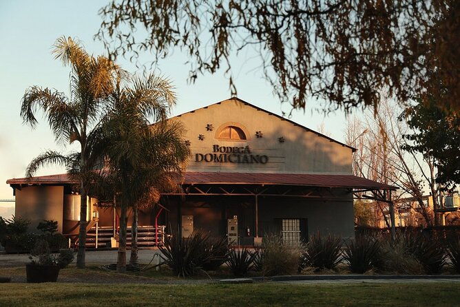 half-day-tour-of-wineries-and-olive-oil-with-lunch-from-mendoza