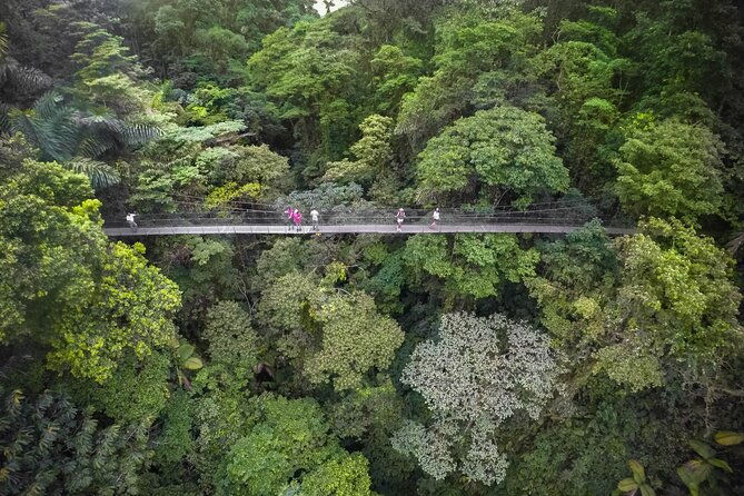half-day-tour-with-hanging-bridges-and-la-fortuna-waterfall