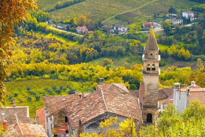 half-day-trip-to-motovun-with-local-brandies-tasting