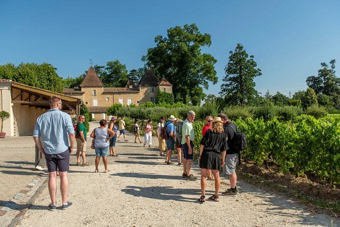 half-day-wine-tour-across-bordeauxs-vineyards