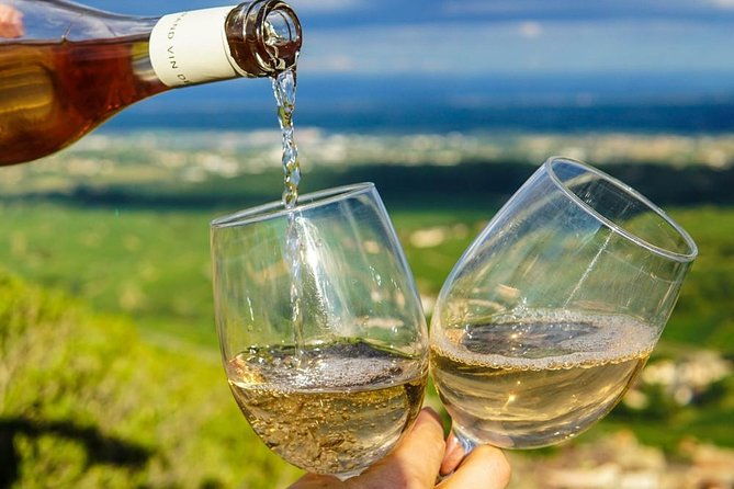 half-day-wine-tour-in-provence