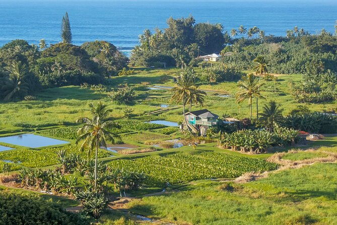 halfway-to-hana-waterfall-garden-of-eden-tour