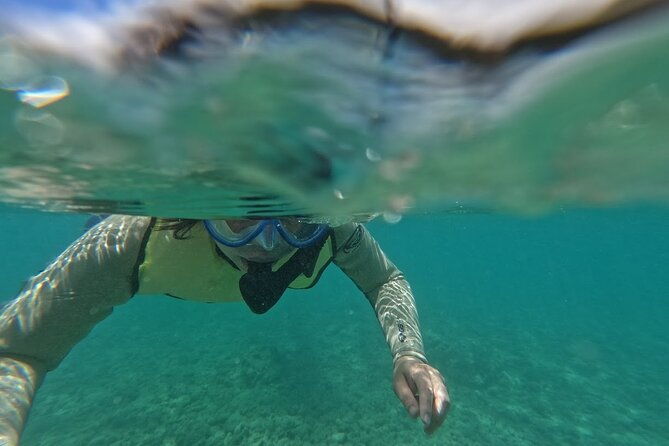hanauma-bay-guided-snorkeling-tour-with-transportation