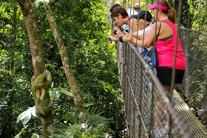 hanging-bridges-and-canyoning-combo