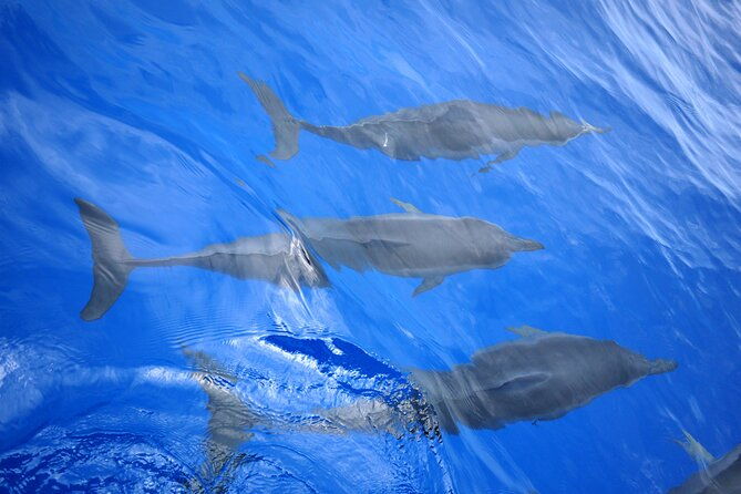 hawaiian-sail-and-snorkel-in-kailua-kona-hawaii