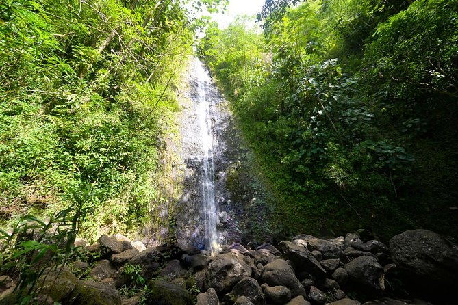 hawaiian-waterfall-hike-2