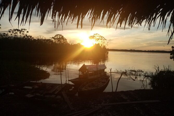 healing-treatment-with-medicinal-plants-7-days-green-wild-amazon-expedition