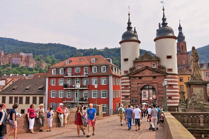 heidelberg-heritage-private-old-town-and-castle-tour