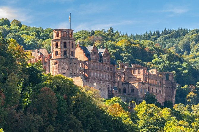 heidelberg-like-a-local-customized-private-tour-2