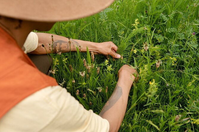 herbal-medicine-walk