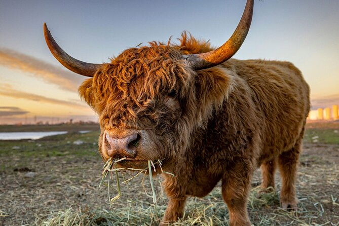 highland-lochs-castles-tour-to-oban-glencoe