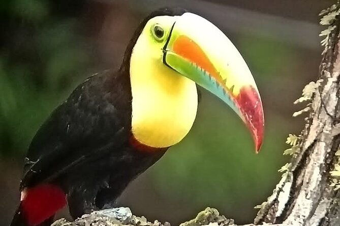 highlights-of-birdwatching-and-nature-in-the-pipeline-road