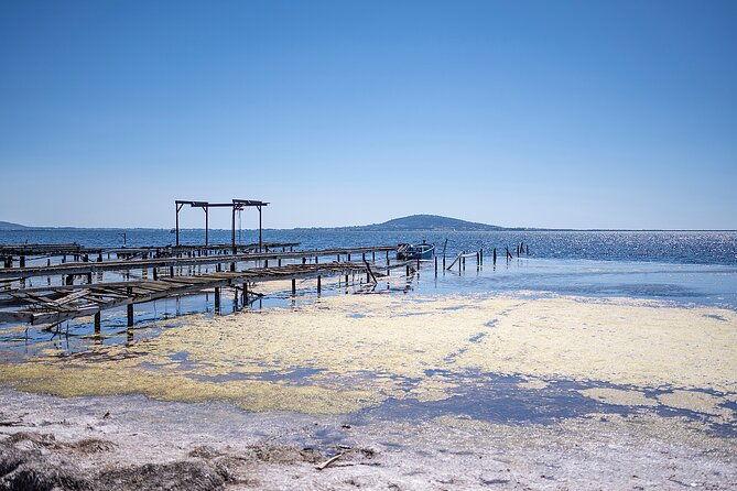 highlights-of-sete-food-and-wine-tour