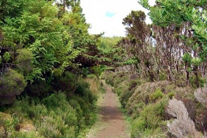 hike-3-hours-inland-terceira-island