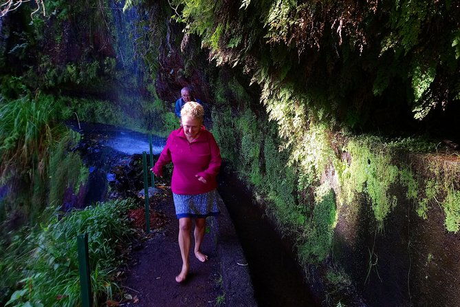 hike-in-laurisilva-levada-do-rei-madre-of-life-small-group-guided-walk