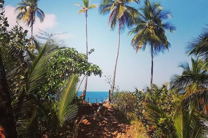 hike-in-the-gandoca-manzanillo-refuge