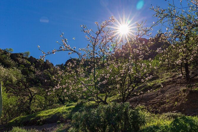 hikes-roque-nublo