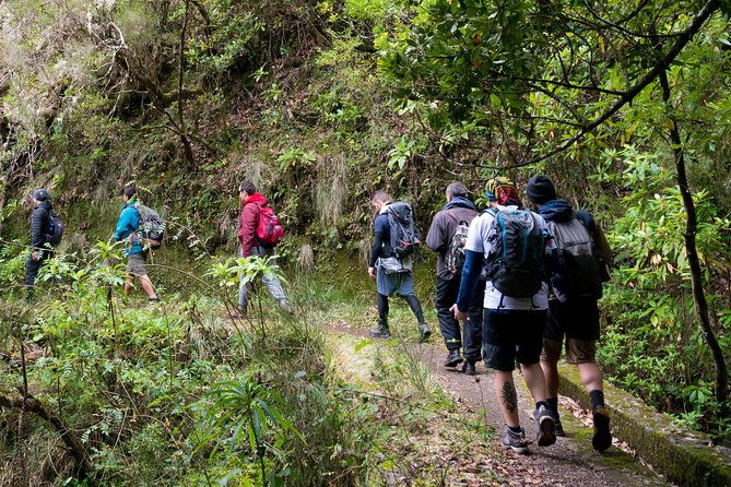 hiking-and-trekking-tours-in-madeira