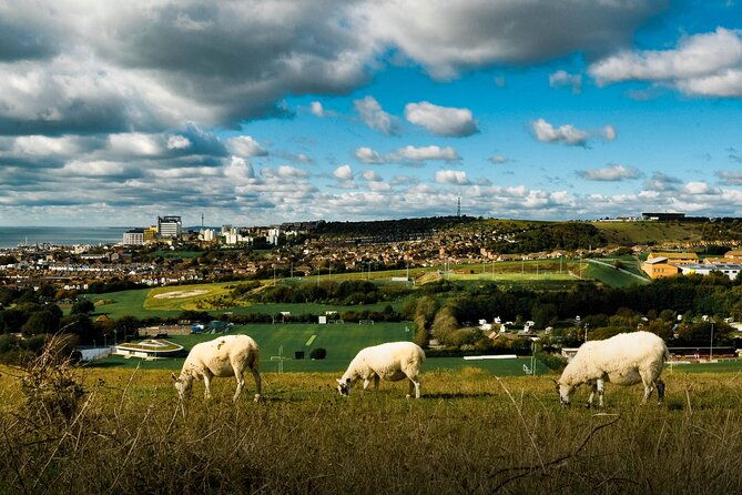 hiking-and-yoga-activity-in-brighton-2