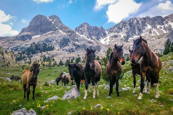 hiking-between-bosnia-and-herzegovina-2
