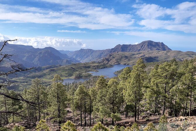 hiking-experience-in-the-north-of-gran-canaria