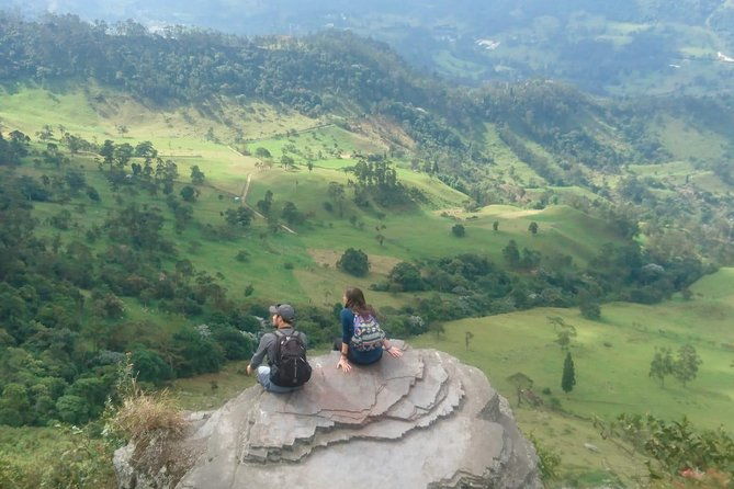 hiking-high-andean-forests