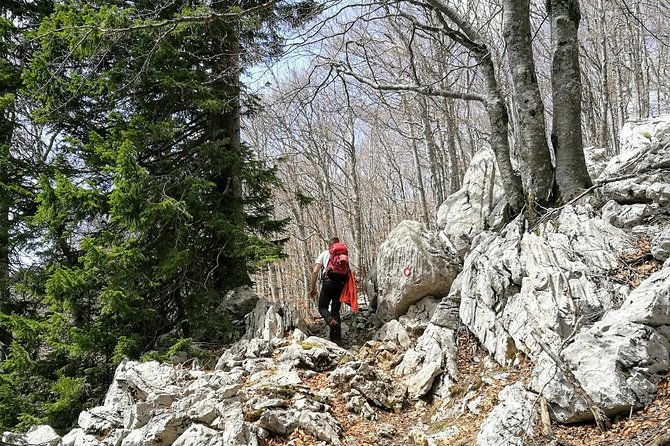 hiking-hike-toru-klek
