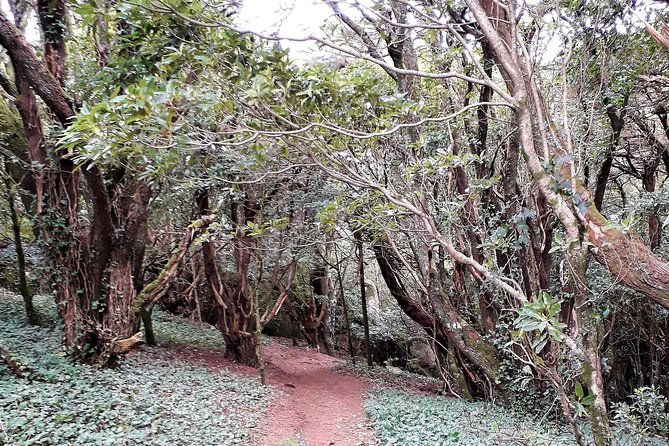 hiking-in-sintra-cascais-natural-park-2