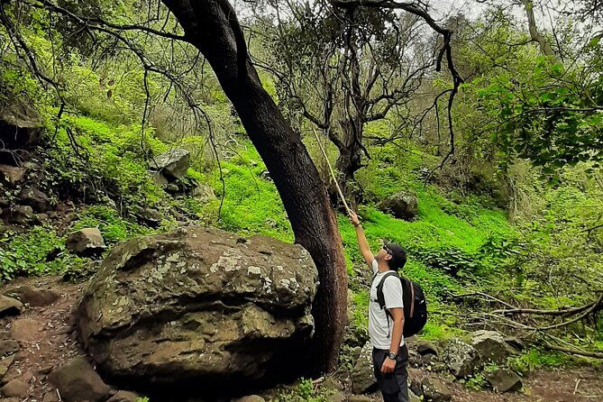 hiking-in-waterfalls-rainforest-by-2-native-guides-2