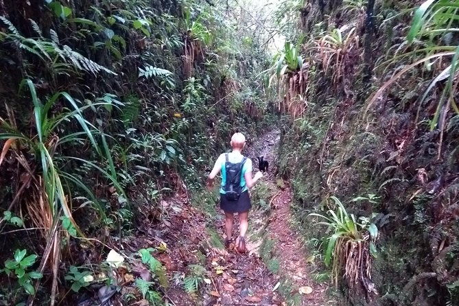 hiking-mountains-and-magical-forests
