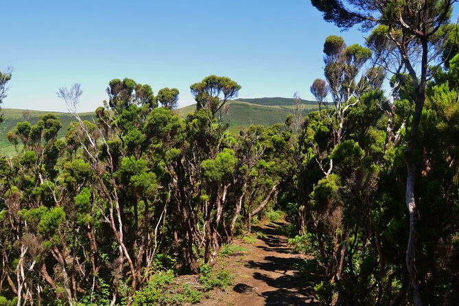hiking-trail-passagem-das-bestas-terceira-island