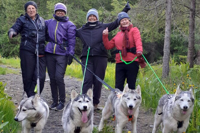 hiking-with-husky-in-akureyri