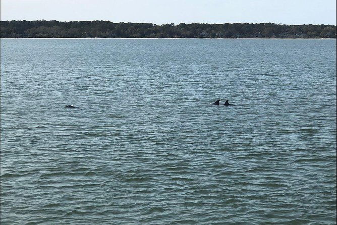 hilton-head-crabbing-expedition-boat-cruise