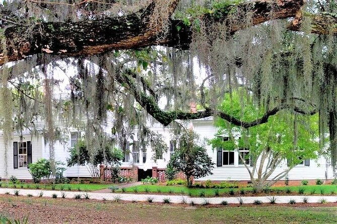 hilton-head-honey-horn-admission-with-guided-tour-2