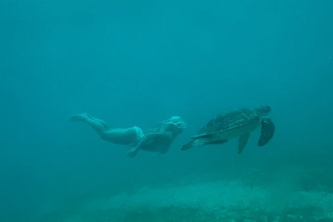 hopping-secret-private-islands-through-boat-chartering-treasure