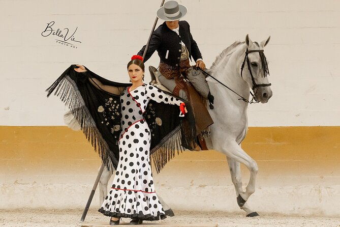 horse-and-flamenco-show-in-malaga-with-dinner-2