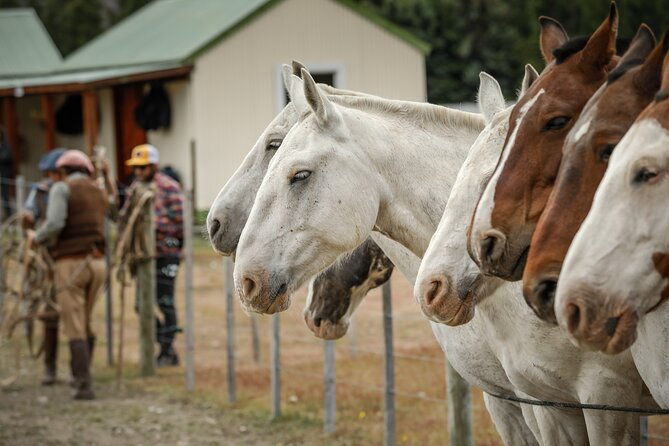 horse-back-riding-expedition