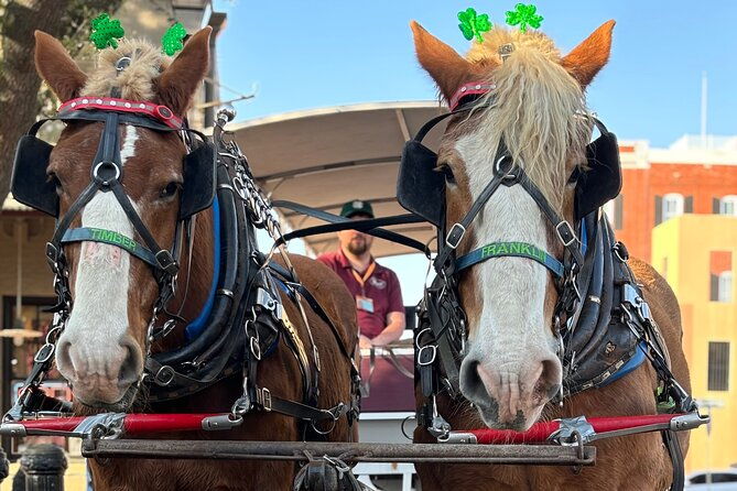 horse-drawn-daytime-group-narrated-historic-overview-tour-2