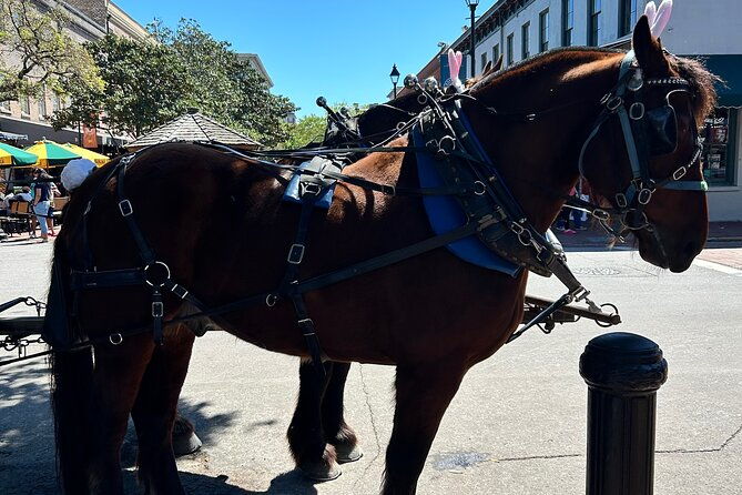 horse-drawn-daytime-group-narrated-historic-overview-tour