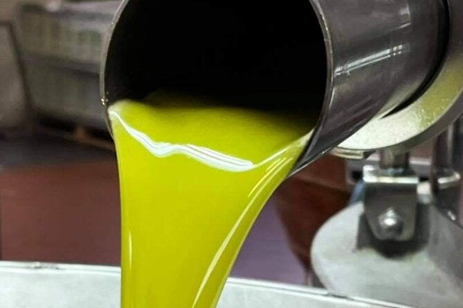 horse-ride-olive-oil-and-local-foods-tasting-in-a-tuscan-farm-2